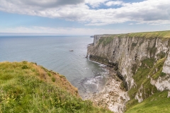 The Yorkshire Belle Bempton