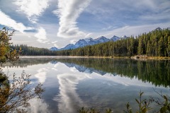 Herbert Lake