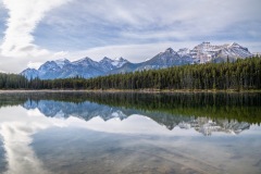 Herbert Lake