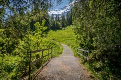 Apple Fritter Trail