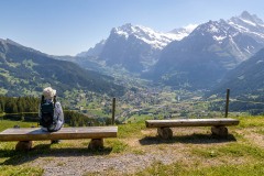 Wetterhorn, Schreckhorn