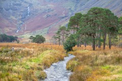 Warnscale Beck