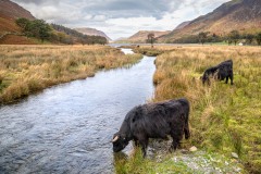 Buttermere-32-34