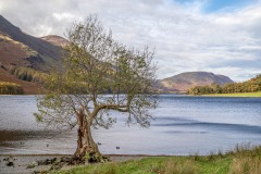 Buttermere