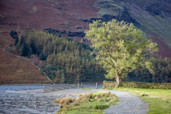 Buttermere, Hassness