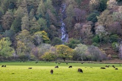 Sourmilk Gill