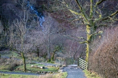 Buttermere Dubs