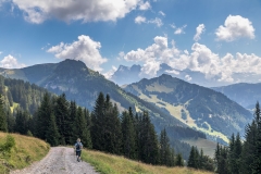 Chalets de Mouet descnet