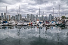 False Creek walk