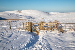 Fellbarrow and Low Fell