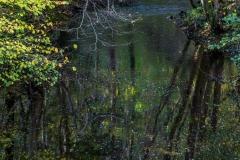 Fountains Abbey walk