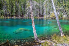 Lower Grassi Lake