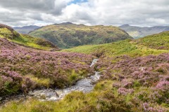 Willygrass Gill, Rosthwaite Fell