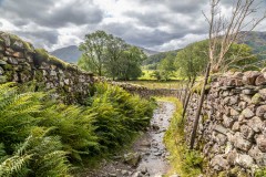 Cumbria Way, Borrowdale