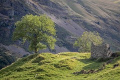 St Johns in the Vale