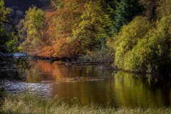 Tarn Hows, autumn reflections