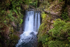 Levada do Furado, Ribeiro Frio