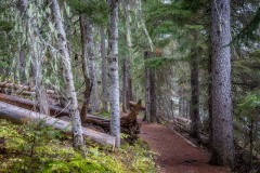 Lightning Lake walk