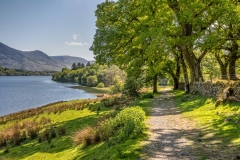 Loweswater and Holme Wood