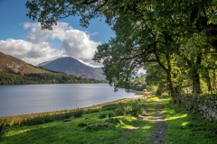 Loweswater path