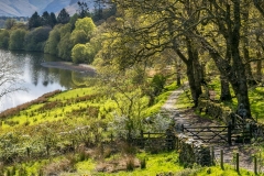 Loweswater circuit