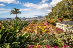 Madeira Botanical Garden, Choreographed Gardens