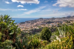 Madeira Botanical Garden, Funchal