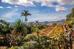 Madeira Botanical Garden, Choreographed Gardens