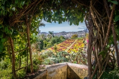 Madeira Botanical Garden, Choreographed Gardens