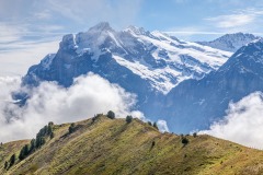 Wetterhorn, Rosenhorn