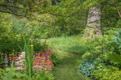 Newby Hall Water Garden, primula