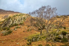 Rannerdale