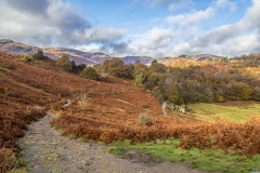  Loughrigg Terrace