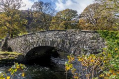 Pelter Bridge