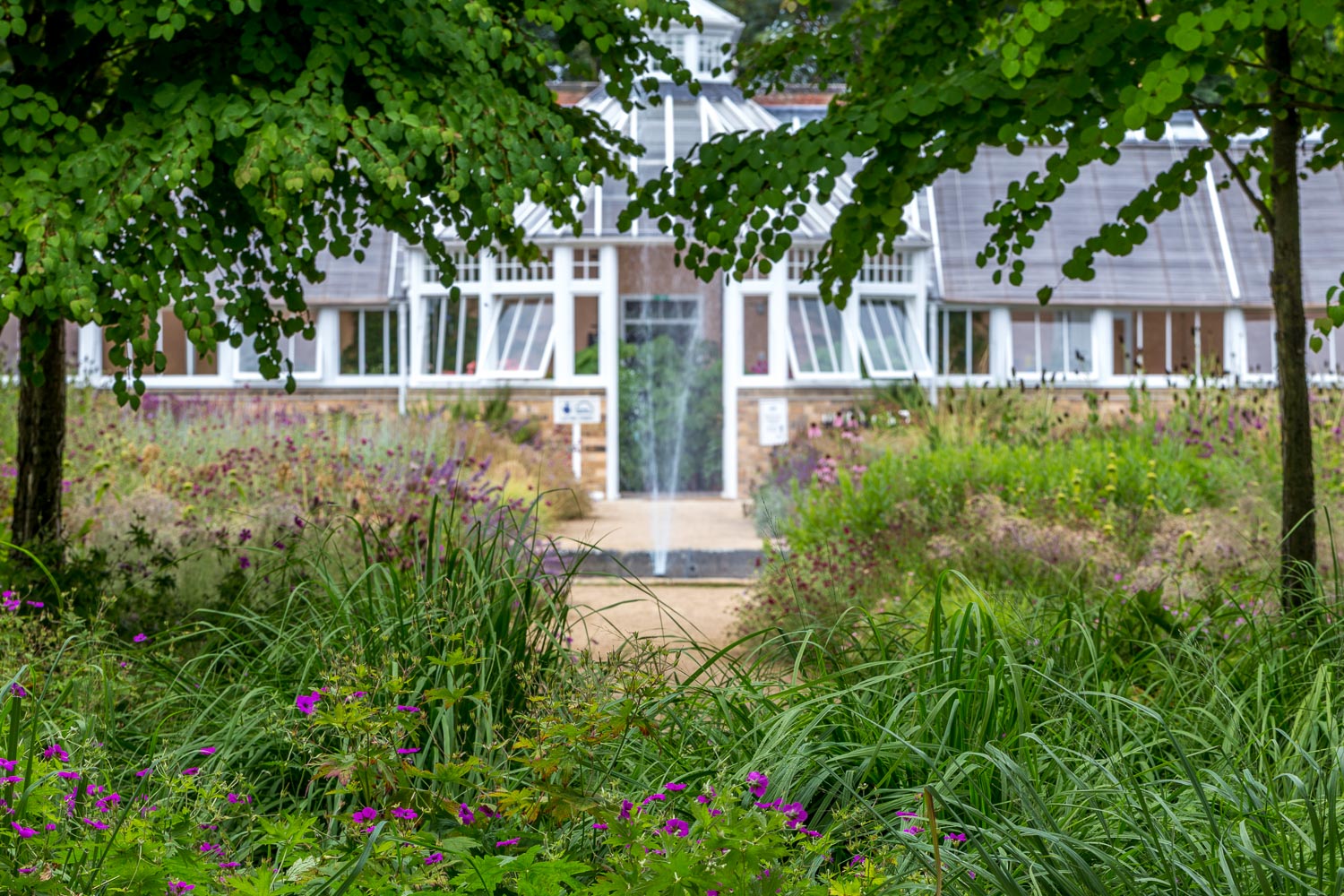 Scampston - Scampston Walled Garden - Yorkshire gardens