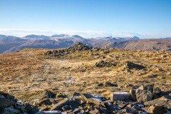 Seat Sandal