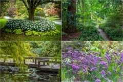 VanDusen Botanical Garden