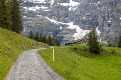 Wengernalp walk, barn