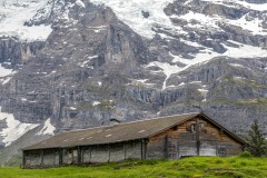 Wengernalp walk, barn