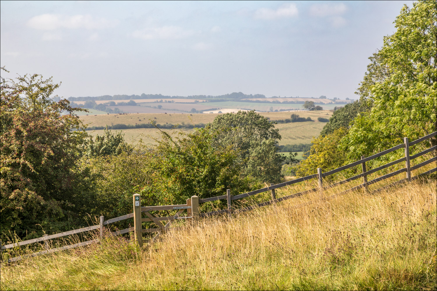 Red Hill near Goulceby