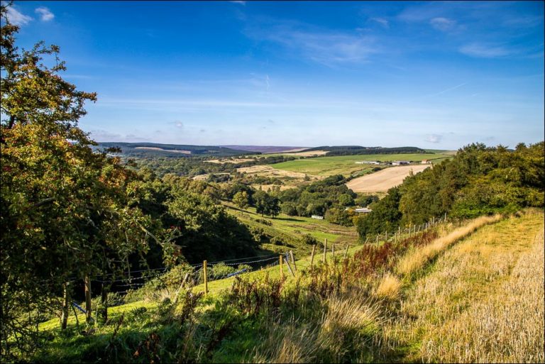 Harwood Dale walk - Broxa Forest walk - North Yorkshire walks