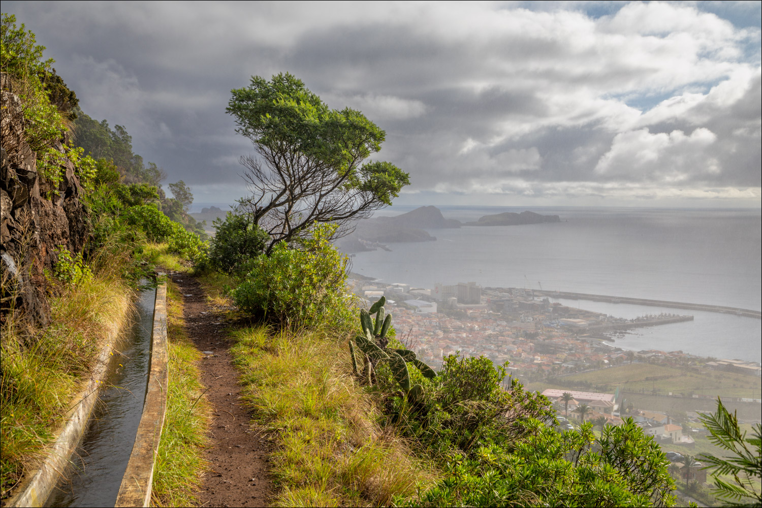 Levada do Caniçal