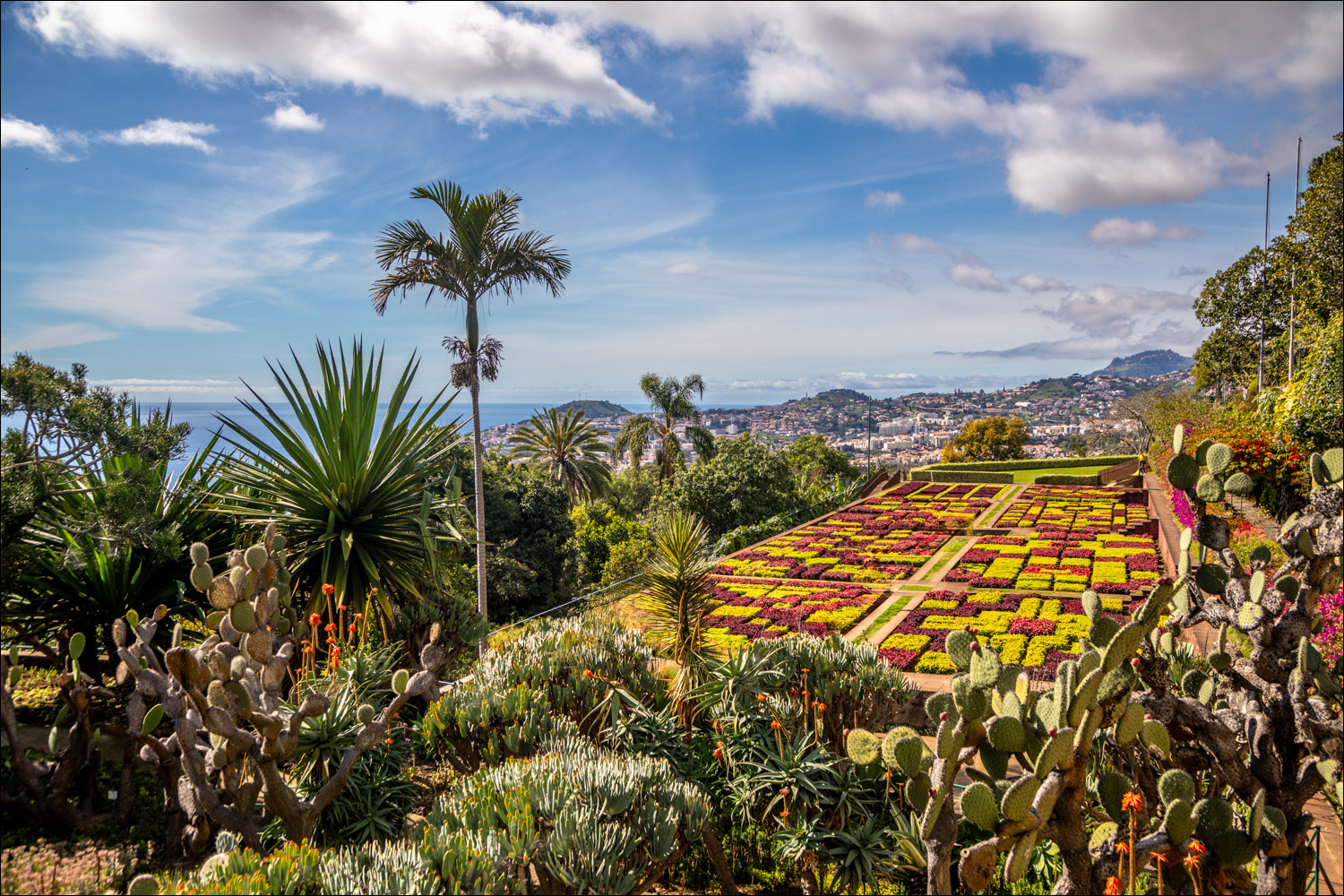 Madeira Botanical Garden