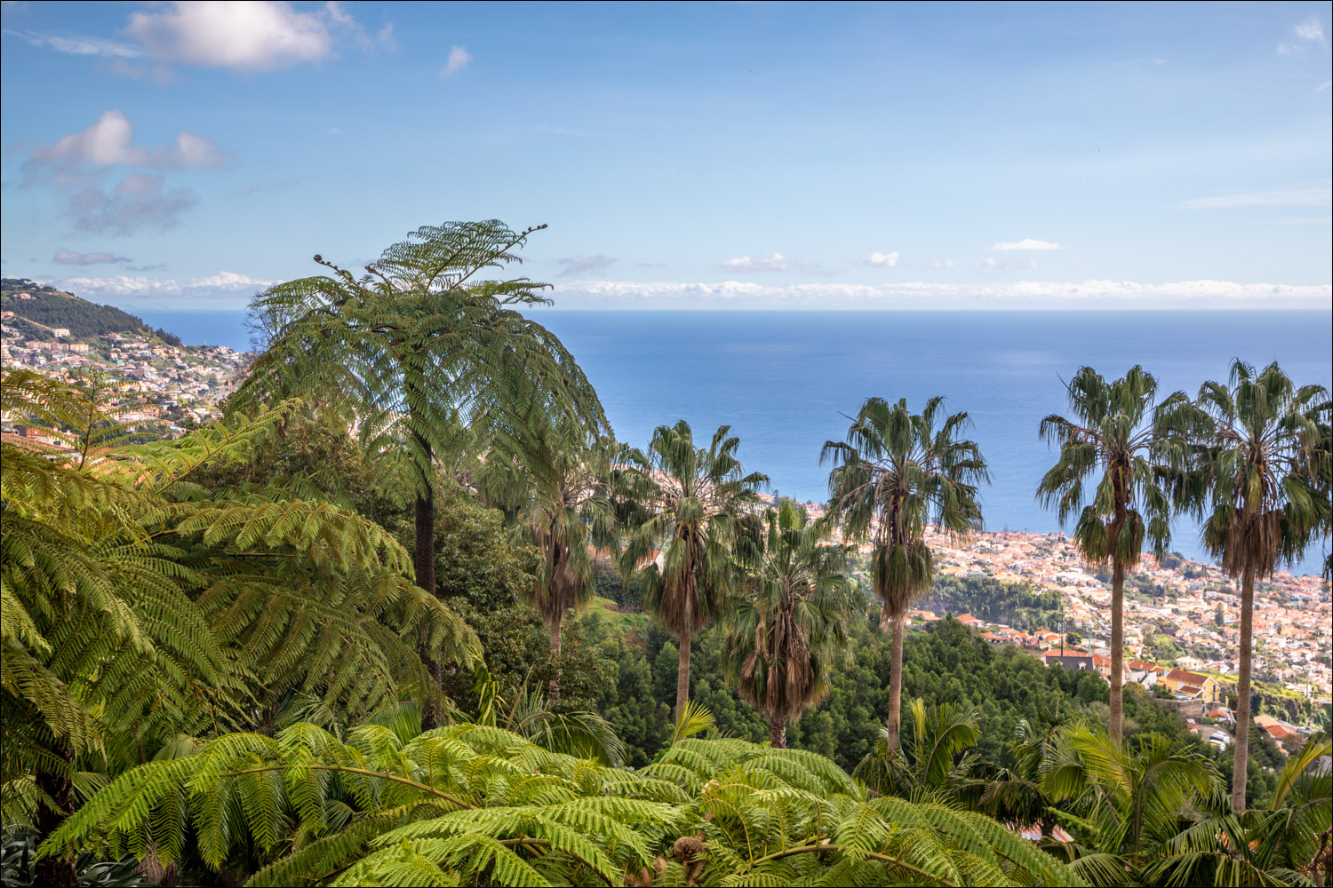 Monte Palace Tropical Garden