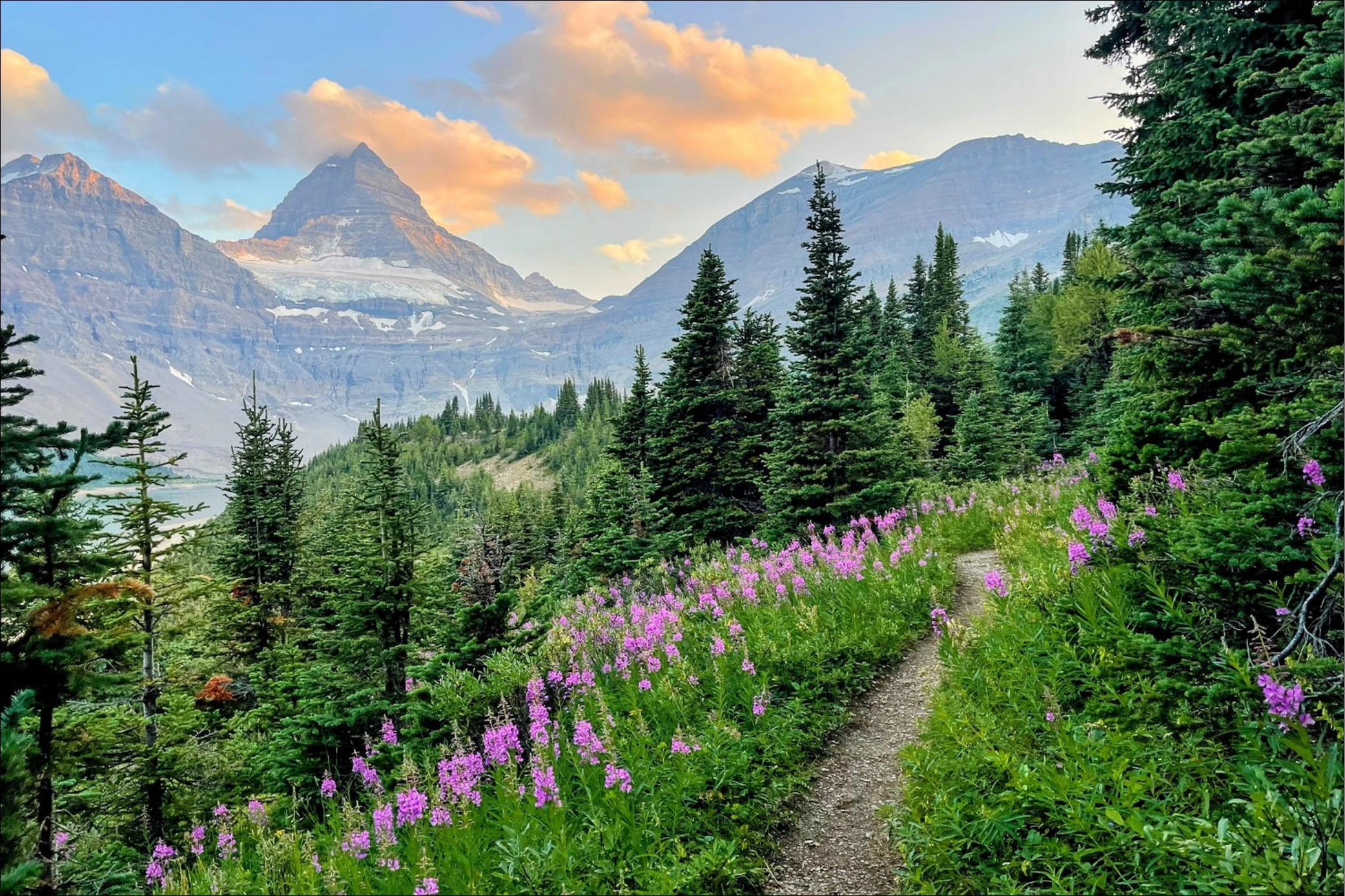 Mount Assiniboine 2