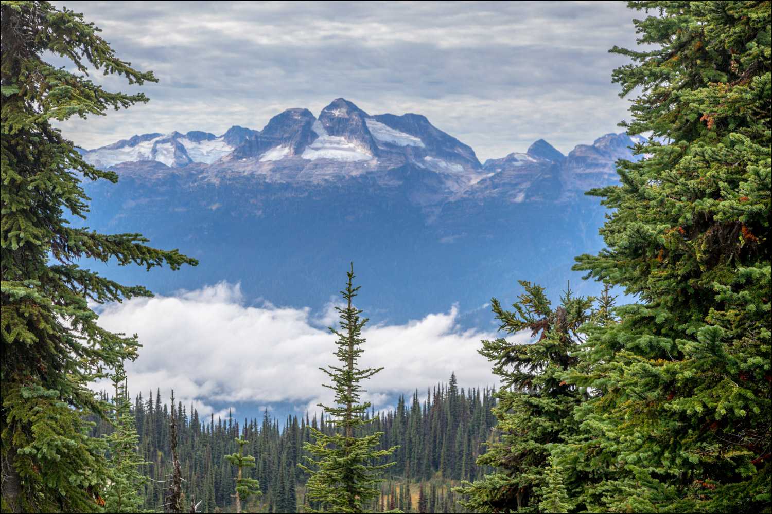 Mount Begbie from Mount Revelstoke