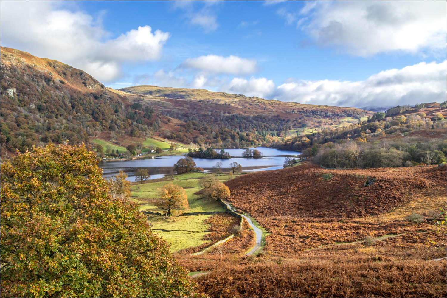 Rydal Water from Loughrigg Terrace